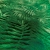 Koc z Mikrofibry Pluszowy - zieleń butelkowa TŁOCZONE liście